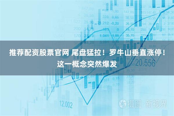 推荐配资股票官网 尾盘猛拉!罗牛山垂直涨停!这一概念突然爆发
